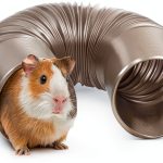 2 Brothers Wholesale Small Animal Tunnel Durable Play Tube-0