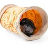 ORZECHKO Rabbit Tunnel Oxford Fleece Small Animal Hideaway-4