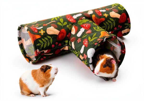 Bienbee 3 Way Guinea Pig Tunnel Foldable Washable Pet Toy-0