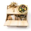 Hamiledyi Wooden Hamster Hideout Multi Chamber Flip Top-4