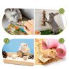 Matafat Small Animal Toys Natural Chew Tunnels Set-2