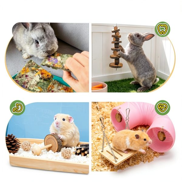 Matafat Small Animal Toys Natural Chew Tunnels Set-2