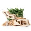 Seenelling Wooden Hamster Hideout Tunnel Natural Safe Small-5